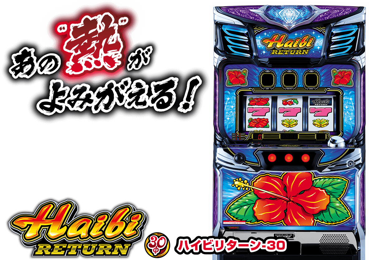 ハイビリターン-30