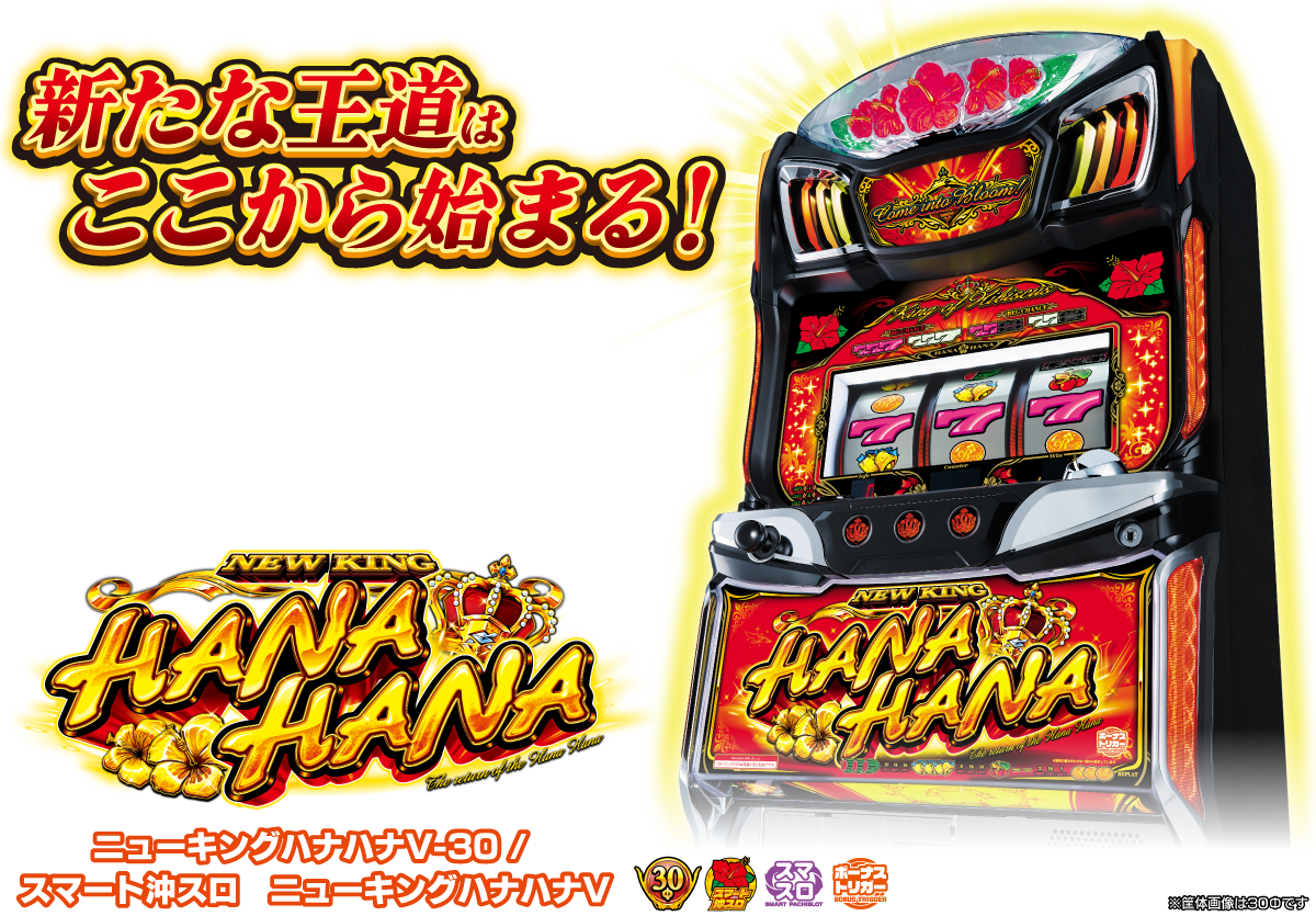 ニューキングハナハナV-30